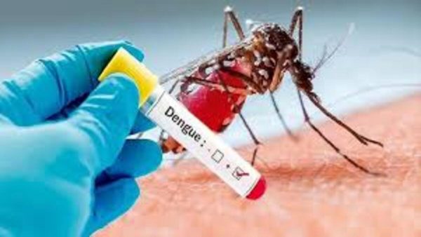 డెంగ్యూ దాడి… జాగ్రత్తే రక్ష!